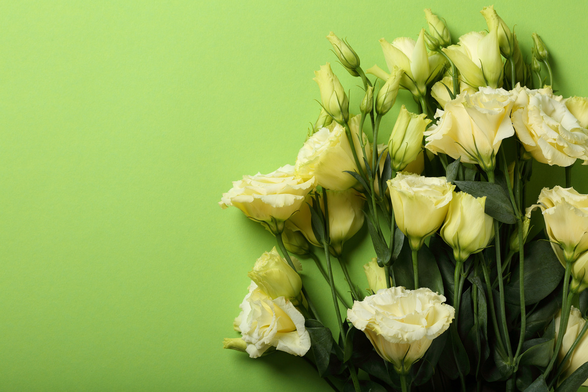 Green flowers background